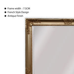 Elegant Collections French Provincial Ornate Mirror Champagne 100cm x 190cm