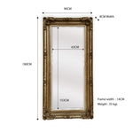 Elegant Collections LUX French Provincial Ornate Mirror Antique Champagne