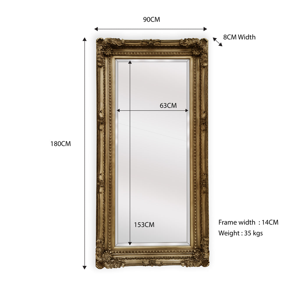 Elegant Collections LUX French Provincial Ornate Mirror Antique Champagne